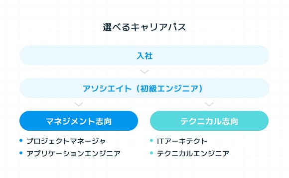 選べるキャリアパス