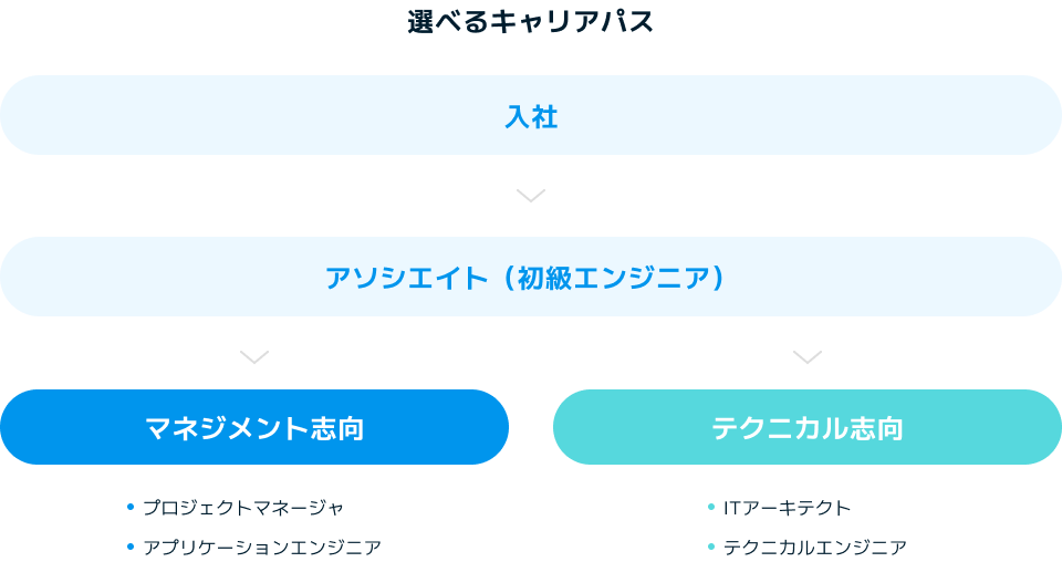 一人ひとりの強みを最大限に発揮できるキャリアパス制度